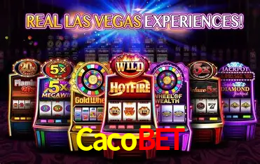 A Experiência Imersiva dos Cassinos Ao Vivo no Cacobet